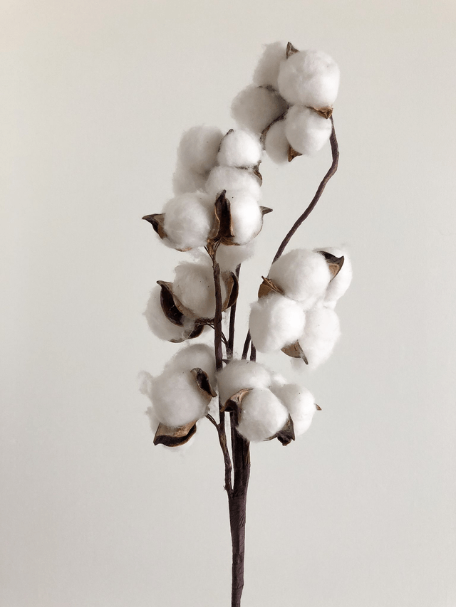 Fleur de Coton - Bougie artisanale - plus de 30 heures de combustion